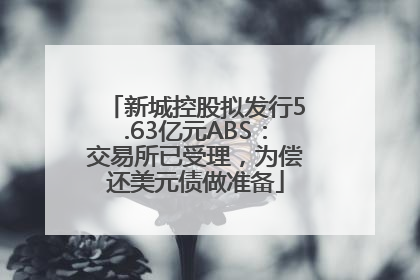 新城控股拟发行5.63亿元ABS：交易所已受理，为偿还美元债做准备