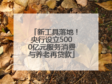 新工具落地！央行设立5000亿元服务消费与养老再贷款