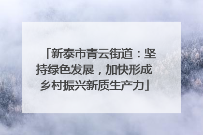 新泰市青云街道：坚持绿色发展，加快形成乡村振兴新质生产力