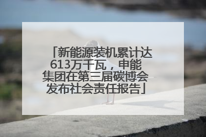 新能源装机累计达613万千瓦，申能集团在第三届碳博会发布社会责任报告