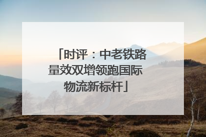 时评：中老铁路量效双增领跑国际物流新标杆