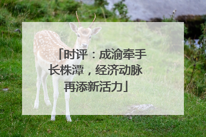 时评：成渝牵手长株潭，经济动脉再添新活力