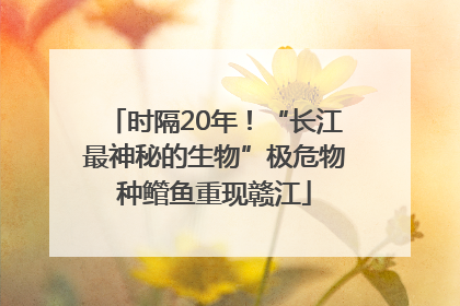 时隔20年！“长江最神秘的生物”极危物种鳤鱼重现赣江