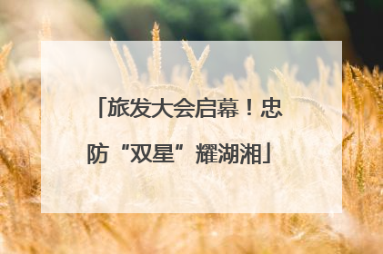 旅发大会启幕！忠防“双星”耀湖湘