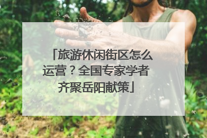旅游休闲街区怎么运营？全国专家学者齐聚岳阳献策