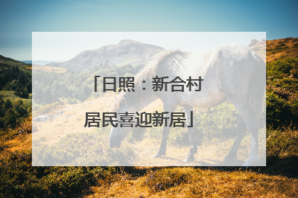 日照：新合村居民喜迎新居