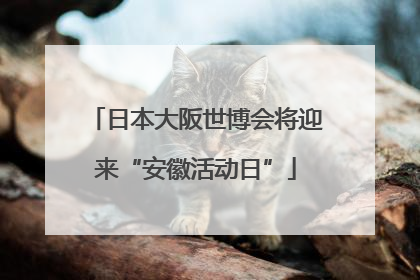 日本大阪世博会将迎来“安徽活动日”