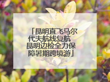昆明直飞马尔代夫航线复航 昆明边检全力保障暑期跨境游