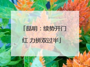 昆明：续势开门红 力拼双过半