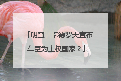 明查｜卡德罗夫宣布车臣为主权国家？