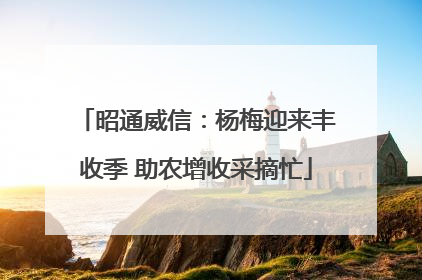 昭通威信：杨梅迎来丰收季 助农增收采摘忙