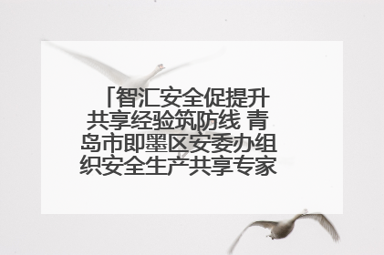 智汇安全促提升 共享经验筑防线 青岛市即墨区安委办组织安全生产共享专家现场观摩学习活动
