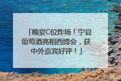 晚宴C位炸场！宁夏葡萄酒亮相西博会，获中外嘉宾好评！