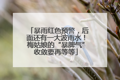 暴雨红色预警，后面还有一大波雨水！梅姑娘的“暴脾气”收敛要再等等