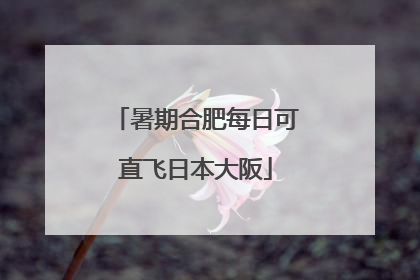 暑期合肥每日可直飞日本大阪