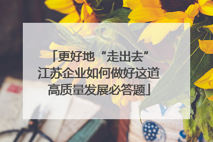 更好地“走出去” 江苏企业如何做好这道高质量发展必答题