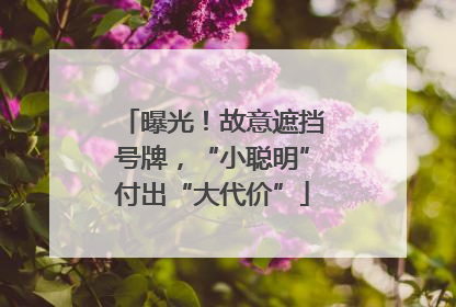 曝光！故意遮挡号牌，“小聪明”付出“大代价”
