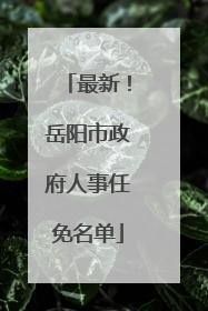最新！岳阳市政府人事任免名单