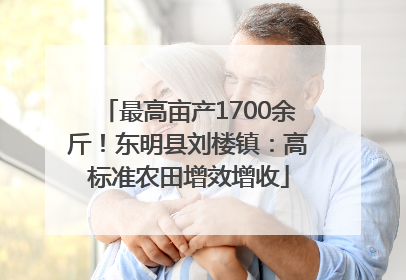 最高亩产1700余斤！东明县刘楼镇：高标准农田增效增收