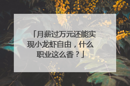 月薪过万元还能实现小龙虾自由，什么职业这么香？