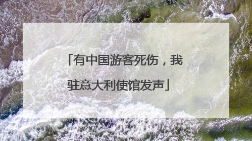 有中国游客死伤，我驻意大利使馆发声