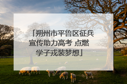 朔州市平鲁区征兵宣传助力高考 点燃学子戎装梦想