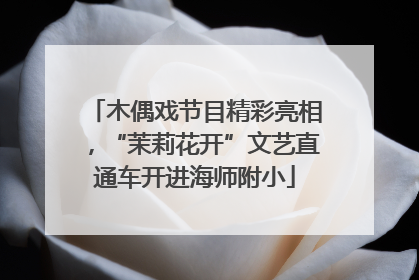 木偶戏节目精彩亮相，“茉莉花开”文艺直通车开进海师附小