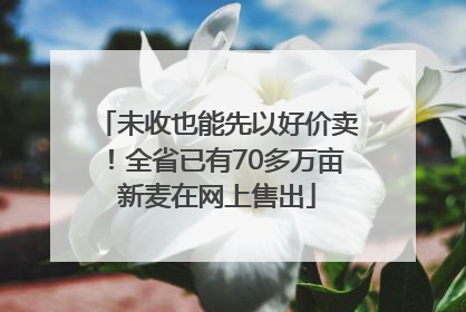 未收也能先以好价卖！全省已有70多万亩新麦在网上售出