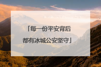 每一份平安背后 都有冰城公安坚守