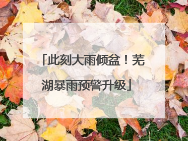 此刻大雨倾盆！芜湖暴雨预警升级