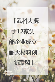 武科大携手12家头部企业成立耐火材料创新联盟