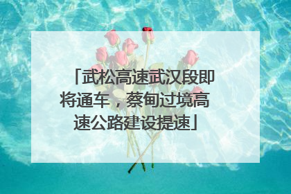 武松高速武汉段即将通车，蔡甸过境高速公路建设提速