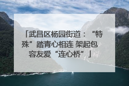 武昌区杨园街道：“特殊”踏青心相连 架起包容友爱“连心桥”