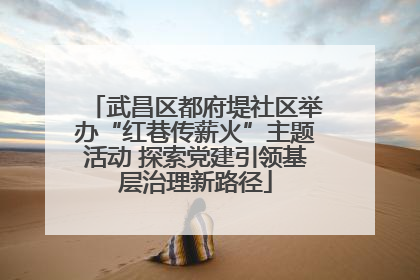 武昌区都府堤社区举办“红巷传薪火”主题活动 探索党建引领基层治理新路径