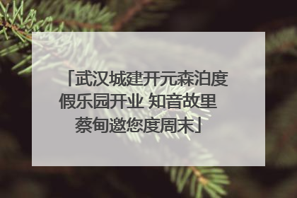 武汉城建开元森泊度假乐园开业 知音故里蔡甸邀您度周末