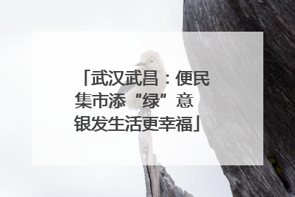 武汉武昌：便民集市添“绿”意 银发生活更幸福