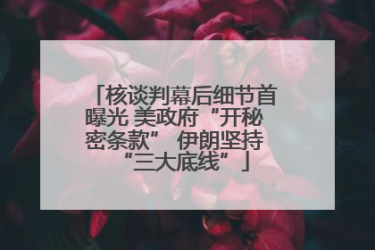 核谈判幕后细节首曝光 美政府“开秘密条款” 伊朗坚持“三大底线”