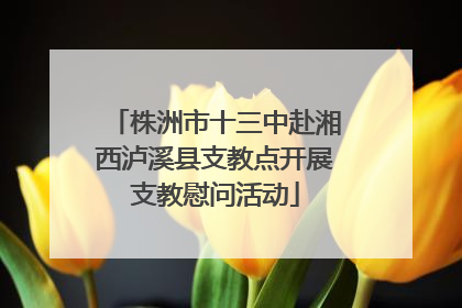株洲市十三中赴湘西泸溪县支教点开展支教慰问活动