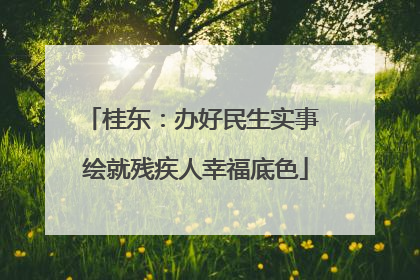 桂东：办好民生实事 绘就残疾人幸福底色