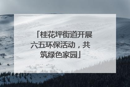 桂花坪街道开展六五环保活动，共筑绿色家园
