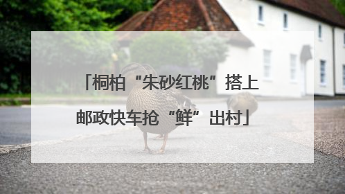 桐柏“朱砂红桃”搭上邮政快车抢“鲜”出村
