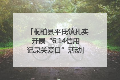 桐柏县平氏镇扎实开展“6·14信用记录关爱日”活动