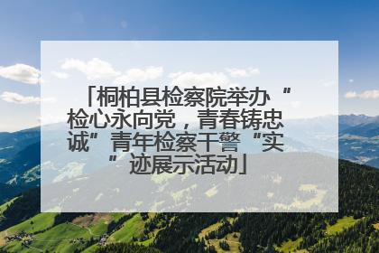 桐柏县检察院举办“检心永向党，青春铸忠诚”青年检察干警“实”迹展示活动