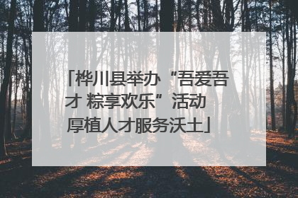 桦川县举办“吾爱吾才 粽享欢乐”活动 厚植人才服务沃土