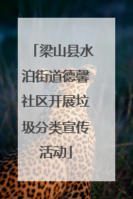 梁山县水泊街道德馨社区开展垃圾分类宣传活动