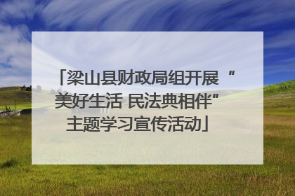 梁山县财政局组开展“美好生活 民法典相伴”主题学习宣传活动