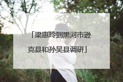 梁惠玲到黑河市逊克县和孙吴县调研