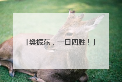 樊振东，一日四胜！