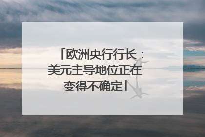 欧洲央行行长：美元主导地位正在变得不确定