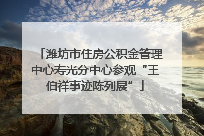 潍坊市住房公积金管理中心寿光分中心参观“王伯祥事迹陈列展”